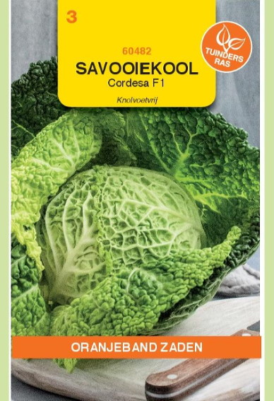 Savoy Cordesa F1 (Brassica) 30 seeds OBZ